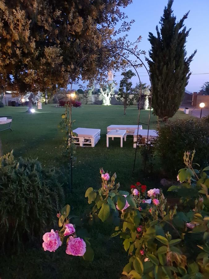 Villa Elegance Ladispoli Exterior photo