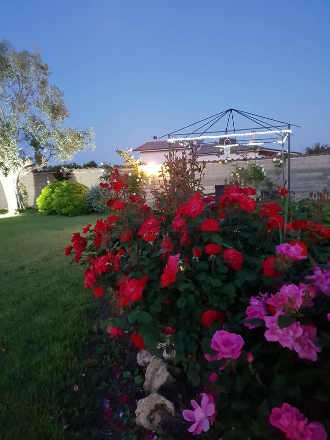 Villa Elegance Ladispoli Exterior photo